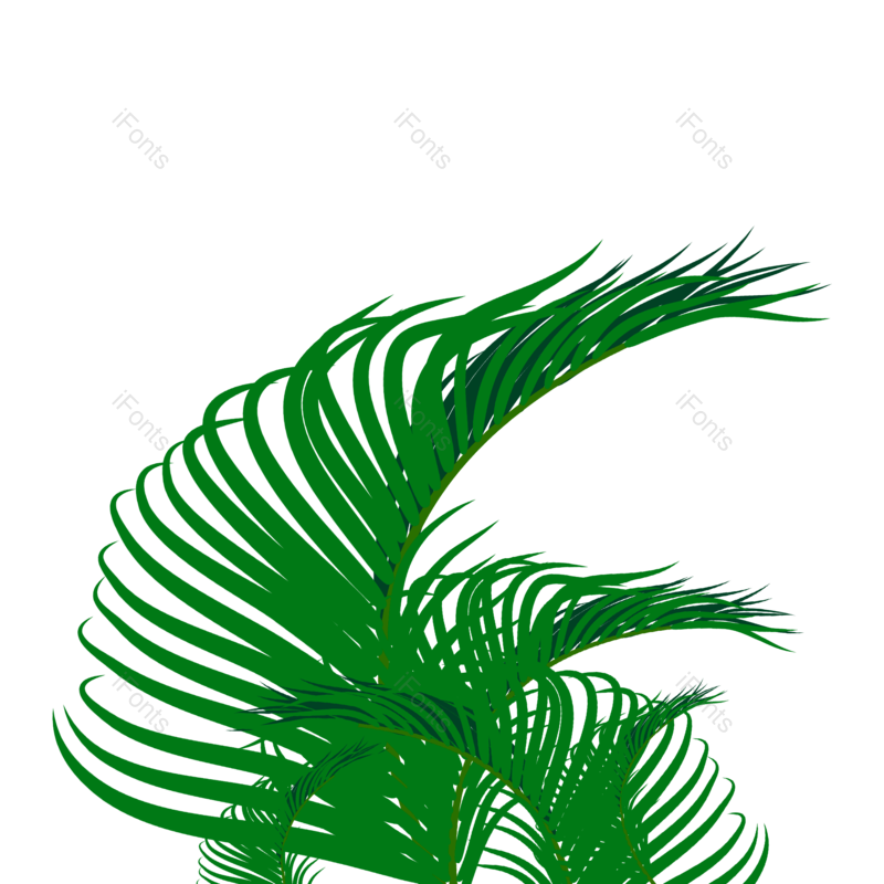叶子图片,卡通元素,花草PNG,花草装饰免抠素材